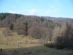 20110213 GRAND BALLON COL AMIC 015